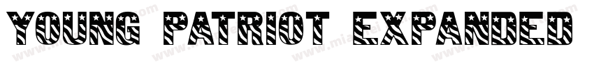 Young Patriot Expanded Italic字体转换